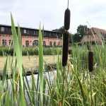 Tango trifft Qigong im Gut Ulrichshusen