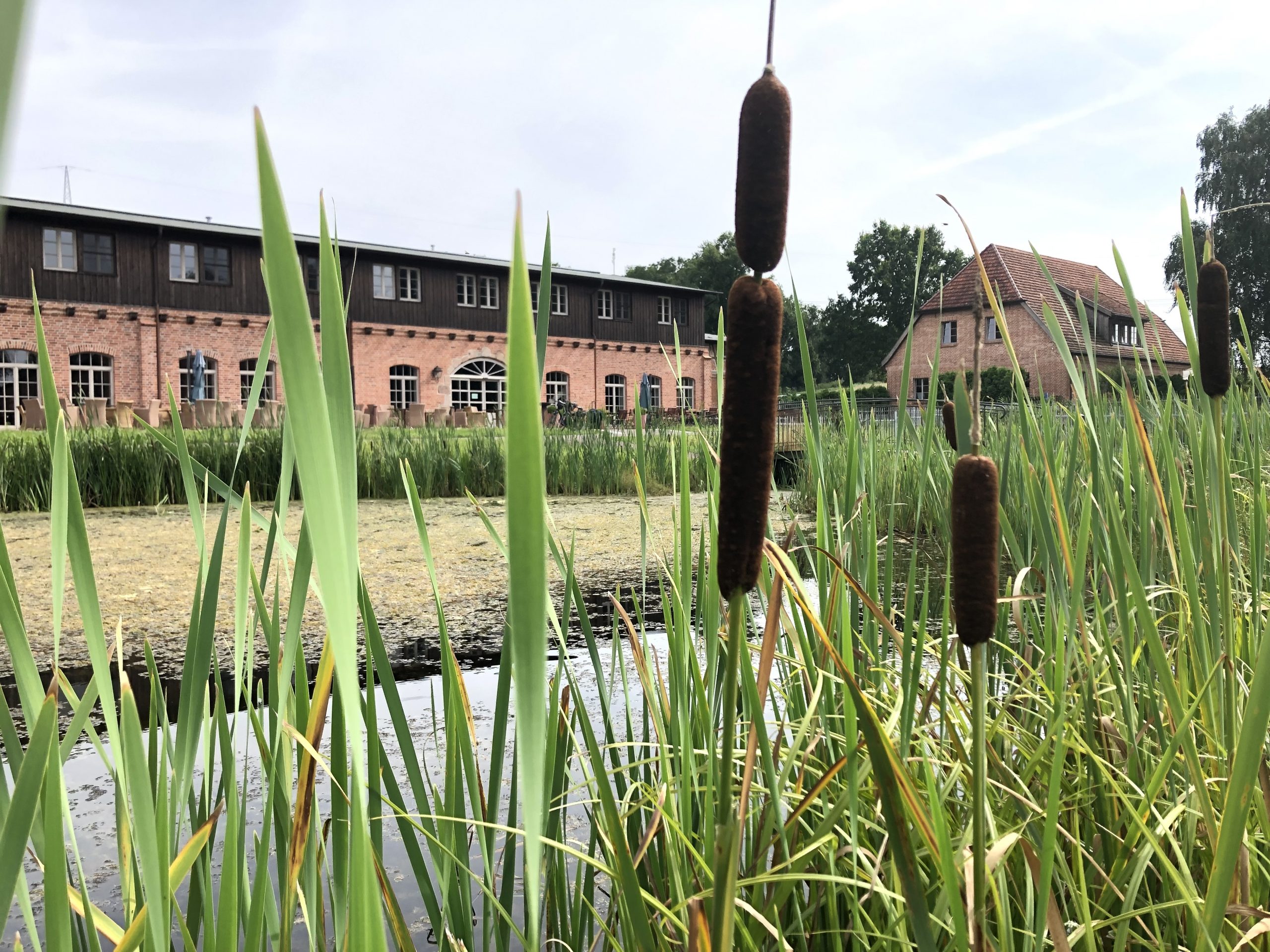 Tango trifft Qigong im Gut Ulrichshusen